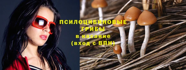 прущие грибы Алзамай