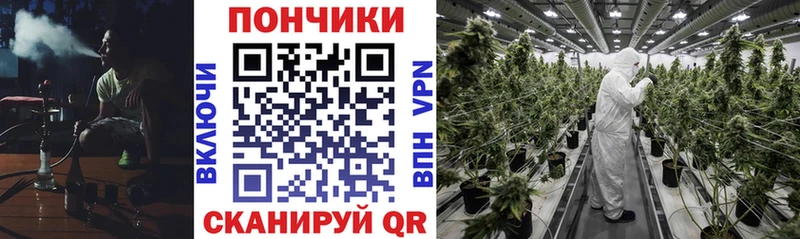 Каннабис MAZAR Сим